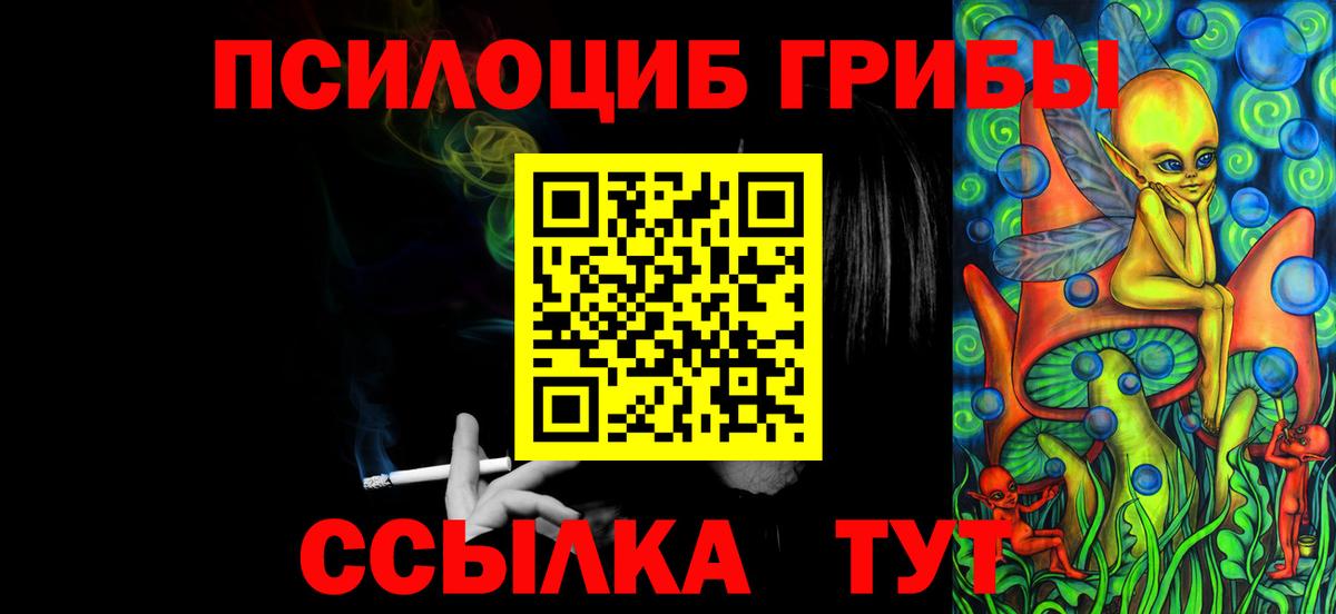 Галлюциногенные грибы Cubensis  Вход с VPN  Муром 